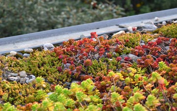 the cost of Knowes Of Elrick green roof installation