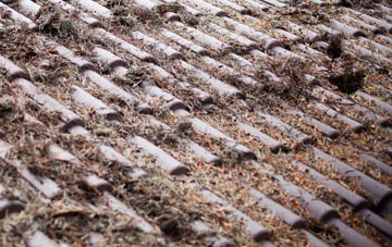 Knowes Of Elrick roof cleaning companies