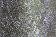 Knowes Of Elrick fibreglass roof work